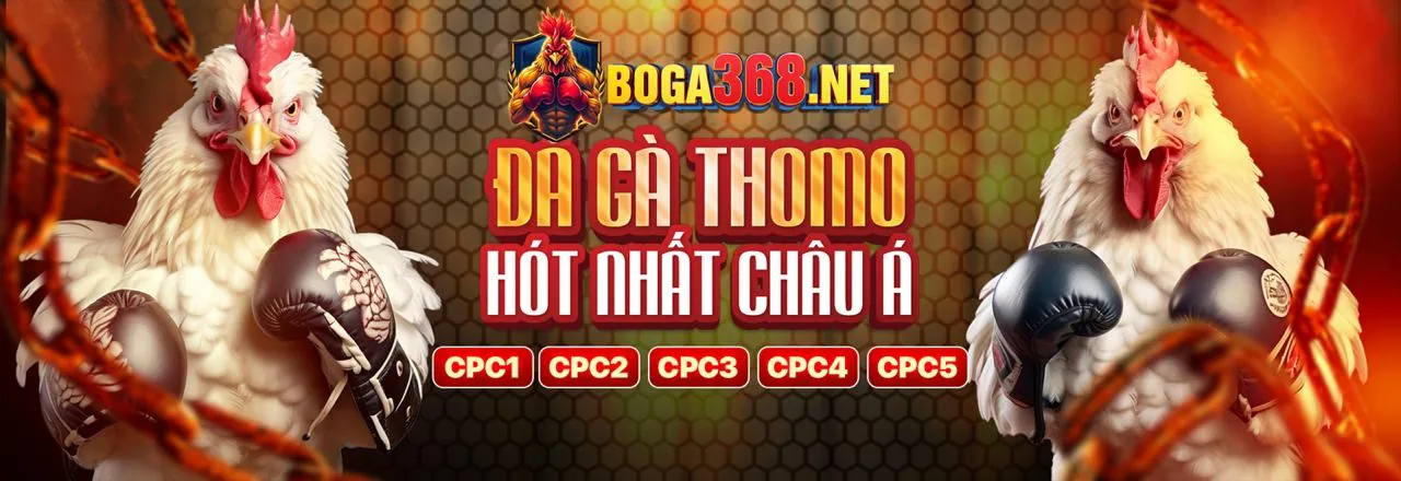 Đá Gà Trực Tuyến Hấp Dẫn tại at99